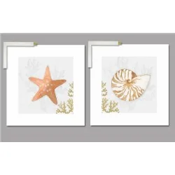 Cuadros: estrella de mar y caracola Arte y decoración Cuadros para el baño 