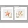 Cuadros: estrella de mar y caracola Arte para el Baño 