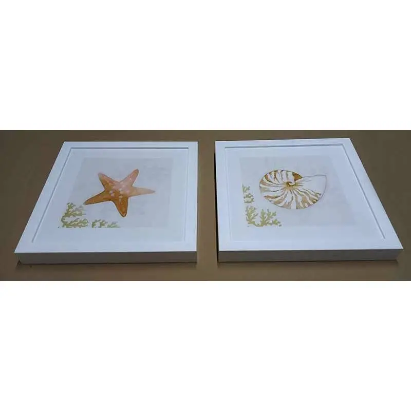 Cuadros: estrella de mar y caracola Arte para el Baño 