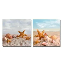 Dos decorativos cuadros para baños con estrellas de mar y caracolas en la playa, geniales para tu cuarto de baño.