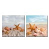 Dos decorativos cuadros para baños con estrellas de mar y caracolas en la arena de la playa, geniales para tu cuarto de baño.