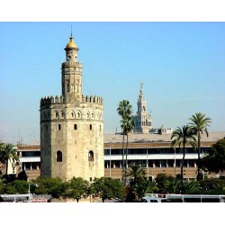 Torre del Oro Sevilla dibujado Arte y decoración Lienzos predibujados para pintores 