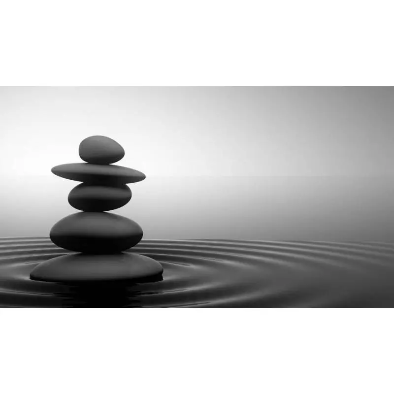 Cuadro Piedras negras en lienzo Peintures en noir et blanc 