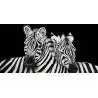 Cuadro Cebras lienzo impreso Peintures en noir et blanc 