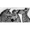 Lienzo impreso cebras En Blanco y negro 